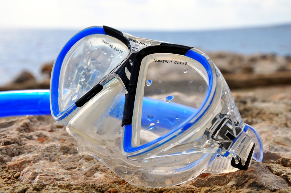 リーフツアラーの水中マスク用度付きレンズを使ってみたら世界が変わった！沖縄の海で2度目の感動！ | カモたび！