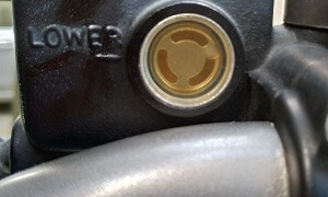 Thumbnail of post image 104