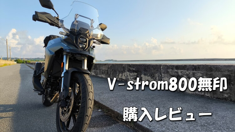 V-srom800購入レビュー